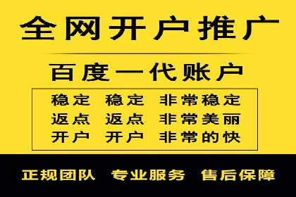 实战技巧：竞价推广案例解析与优化策略